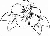 Hawaiian Flower Coloring Pages sketch template