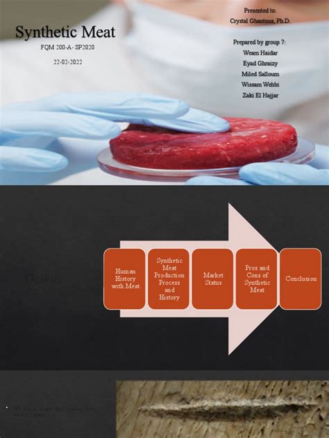 Synthetic Meat | PDF | Meat | Food Security