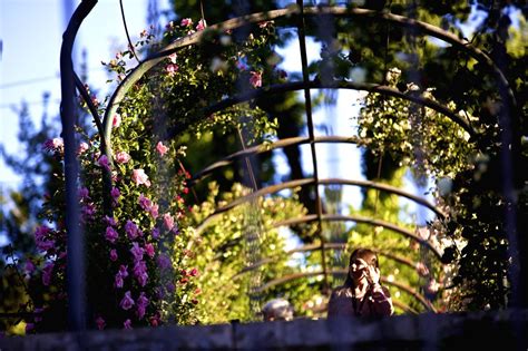 ITALY-ROME-ROSE GARDEN