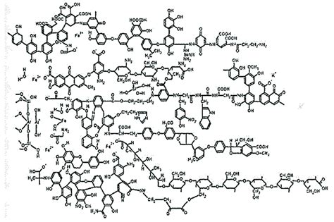 The most general visualization of the structure of organic humic... | Download Scientific Diagram