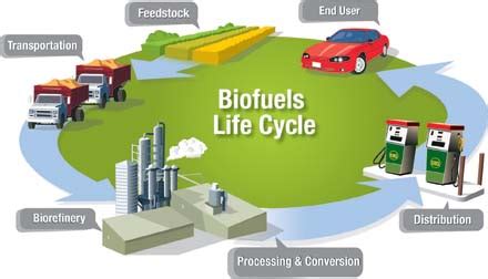 Life Cycle Analysis for Biofuels – Farm Energy