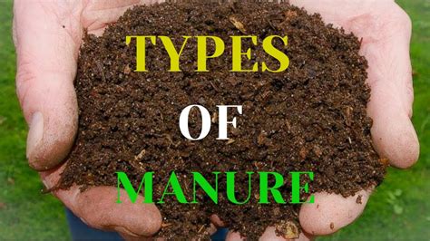 #manure Different types of manure - YouTube