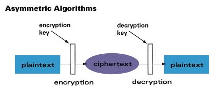 You won't Believe This.. 28+ Reasons for Public Key Cryptography Examples: (it involves advanced ...