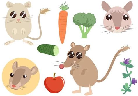 Gerbil Vector Art, Icons, and Graphics for Free Download