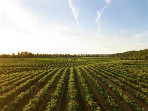 Farming noise and environmental nuisance in Queensland - Queensland ...