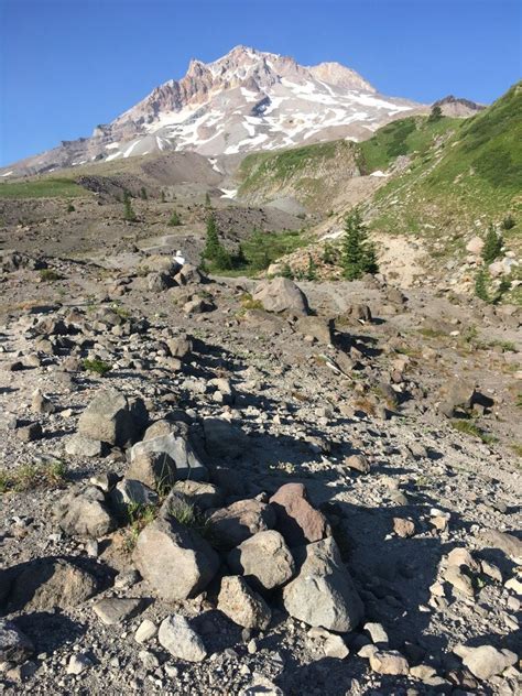 Timberline Trail - Must Hike Must Eat