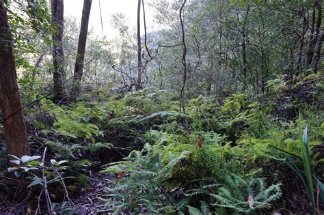 Gambar : pemandangan, pohon, air, alam, gurun, menanam, jejak, bunga, sungai, perjalanan ...