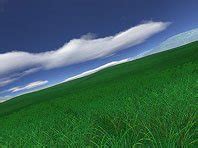 Green Fields 3D Screensaver – Discover the true meaning of freedom!