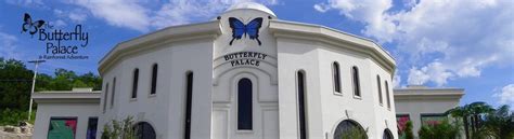 The Butterfly Palace