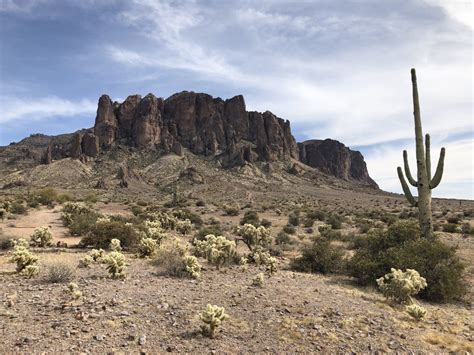 Arizona: Lost Dutchman State Park & Our First Visitor! - TheWorldExplored