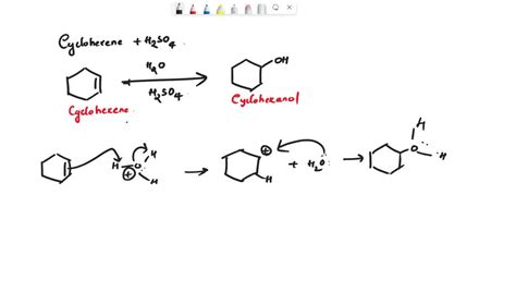 SOLVED: In the reaction of cyclohexene with sulfuric acid, the solution turned dark. What phases ...