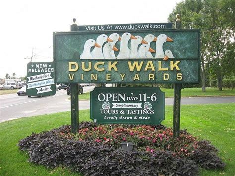 Duck Walk Vineyards - All You Need to Know BEFORE You Go (2024)