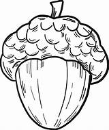 Acorn coloring Page  ColouringPages sketch template