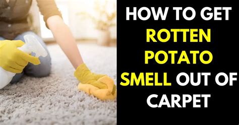 How to Get Rotten Potato Smell Out of Carpet (8 Simple Steps)