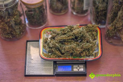 How Many Grams in an Ounce? | Greendorphin.com