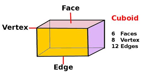 Define cuboid at Algebra Den