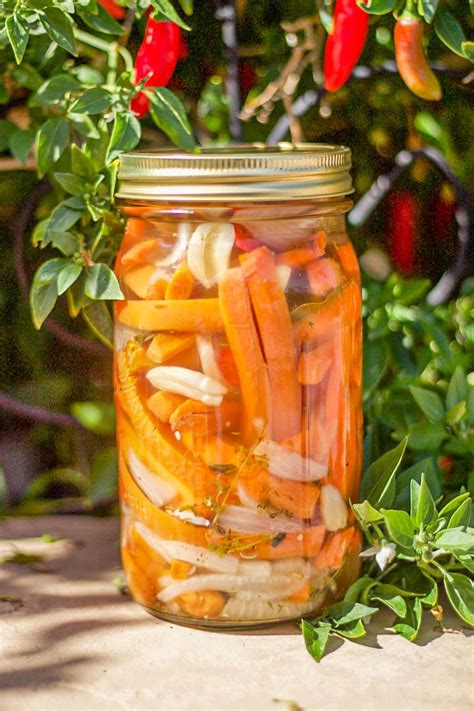 Mexican Pickled Carrots Easy Recipe | Hilda's Kitchen Blog