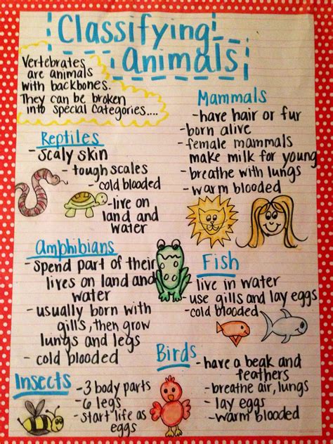 Home - JammieCat.com | First grade science, Science anchor charts ...