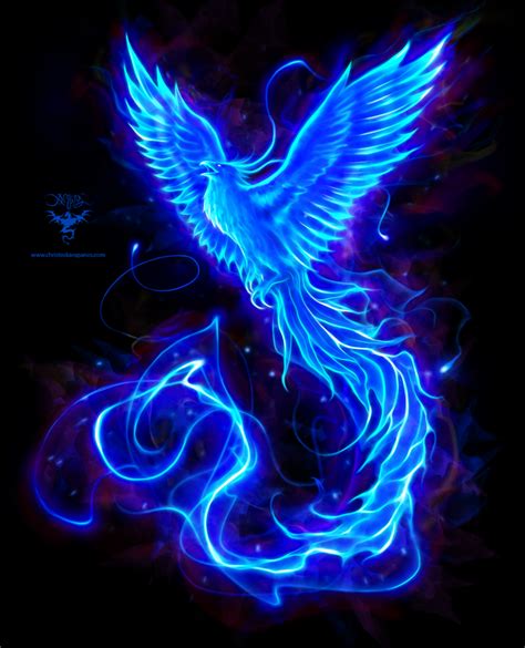 Blue Phoenix logo by amorphisss | Fotos de ave fenix, Ilustración de ...