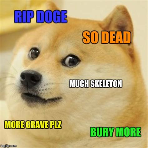 Doge Meme - Imgflip