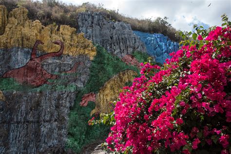 Private Vinales nature day tour by VC Tours - Cuba's #1 Tour Company