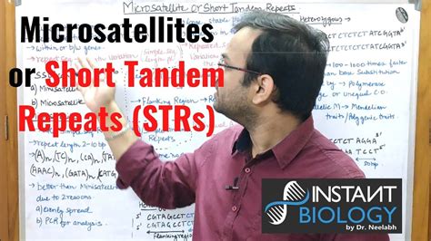 Microsatellites or Short Tandem Repeats (STRs) - YouTube