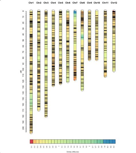 Linkage map constructed by GAPL from 4PL2 | Download Scientific Diagram