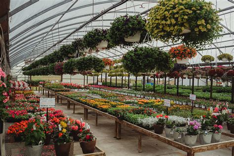 Keil's Produce and Greenhouse - Toledo Annual & Perennial Flowers