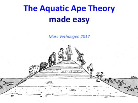 (PPT) Aquatic Ape Theory made easy 2017.pptx | marc verhaegen - Academia.edu