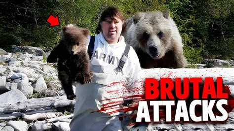 The Most BRUTAL Bear Attacks MARATHON! - YouTube