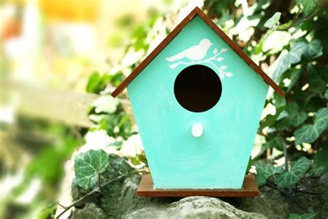 15 DIY Hummingbird House Plans You Can Build - Handy Keen