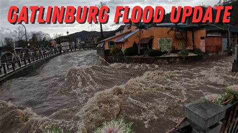 Turn Around Don't Drown | Pigeon Forge & Gatlinburg Flood January 9 ...