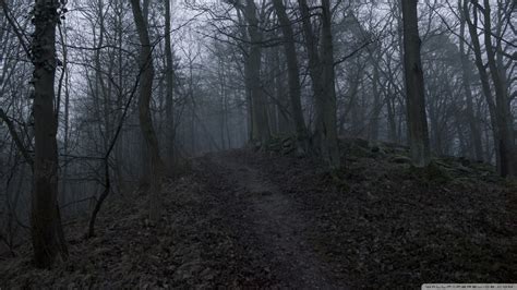 Dark Scary Forest Wallpaper (64+ images)
