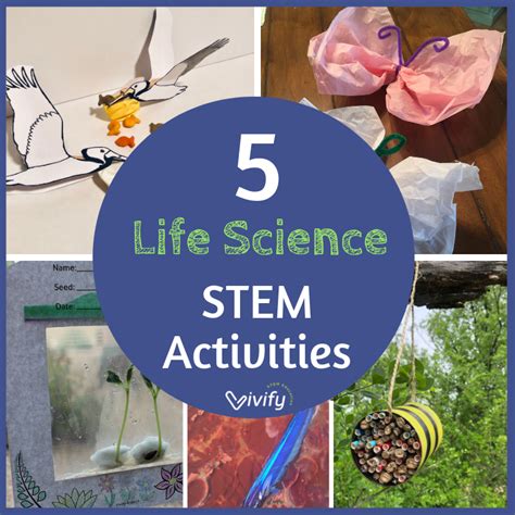 5 Life Science STEM Activities for Elementary — Vivify STEM