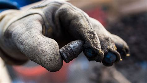 Civil War artifacts found in Bronzeville backyard - Chicago Sun-Times