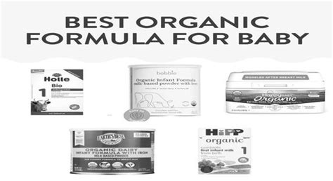 Top Organic Baby Formula Brands for Newborns – Asumanaksoy.com