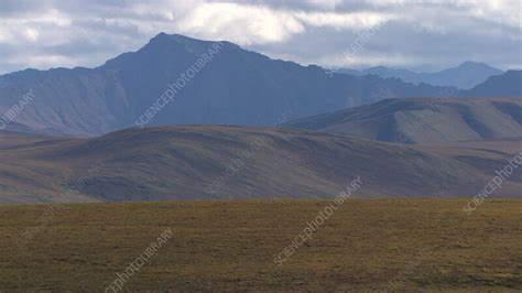 Tundra landscape, Alaska - Stock Video Clip - K011/8622 - Science Photo ...