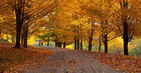 Fall Stowe Vermont Condo & Cabin Rentals | Stowe Country Homes