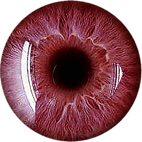 Download Eye Red Scary Vampire Redeyes Eyecolor Eyeball Freetoed - Iridology Healthy Eye PNG ...