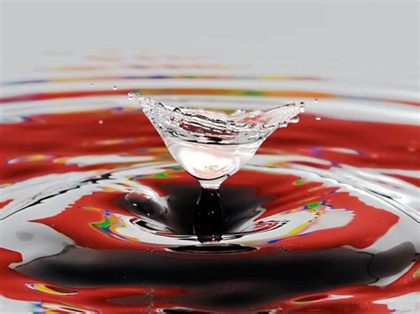 Water Drop Art - Gallery | eBaum's World