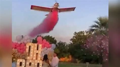 Gender reveal celebration takes a tragic turn as pilot dies in plane ...