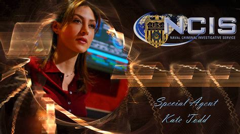 Kate Todd - NCIS Fan Art (21355160) - Fanpop