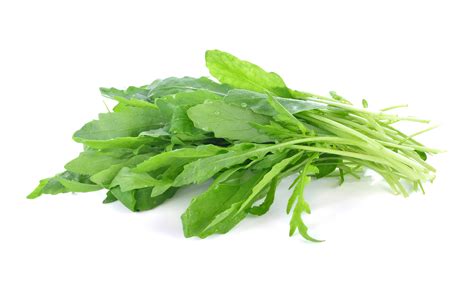 How to Grow Arugula: Your Complete Guide - A-Z Animals