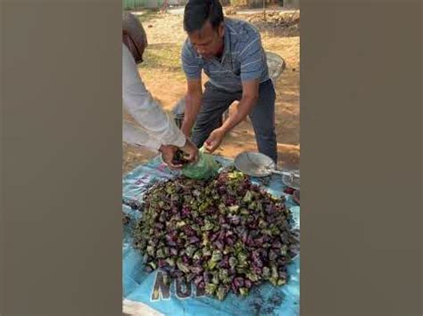 PANI SINGADA | Healthy Seasonal Fruit #shots #moodisha #motovlog #odiachhunka #odiavlogs - YouTube