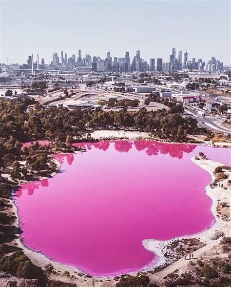 This lake that is near Melbourne turned pink! 🌺 Do you want to go to ...