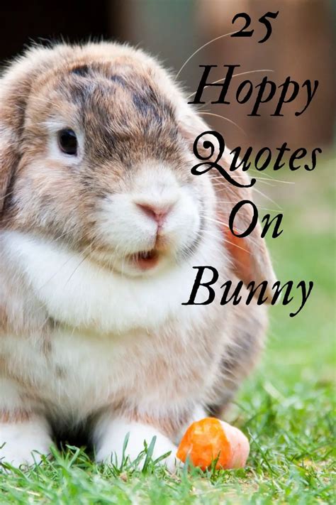 25 Happy Bunny Quotes that are Cute and Cuddly - Hablr