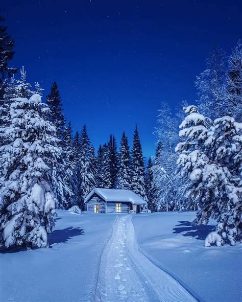 10 Best Things To Do in Swedish Lapland - Summer & Winter