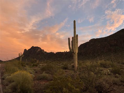 Picacho Peak State Park – On the Road with Dan & Amy