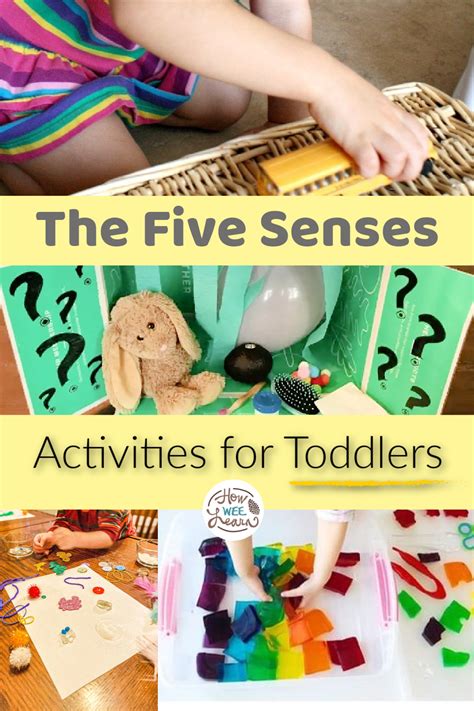 Five Senses Activities for Toddlers! | LaptrinhX / News