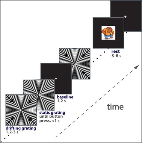 Experimental design. Each trial began with presentation of a fixation ...